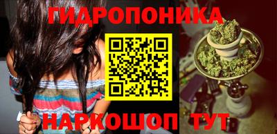 сатива Чапаевск