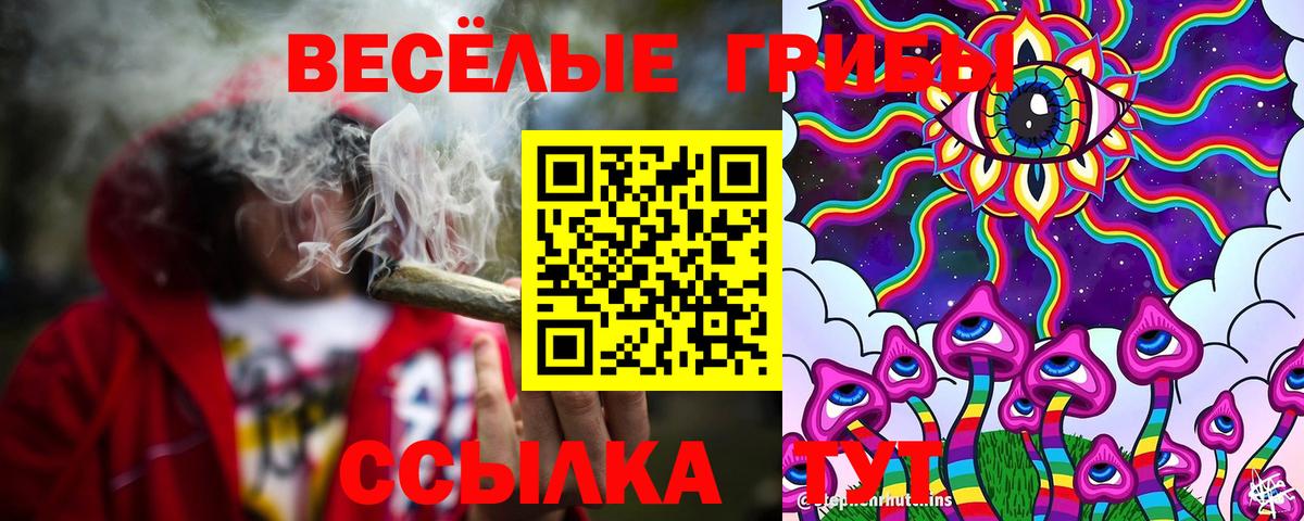 Псилоцибиновые грибы ЛСД  где купить наркоту  Сухой Лог  Вход с VPN 